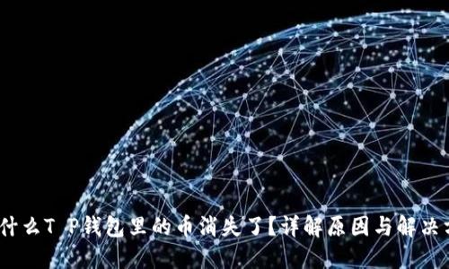 :为什么T P钱包里的币消失了？详解原因与解决方案