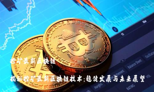 控矿最新区块链

揭秘控矿最新区块链技术：稳健发展与未来展望