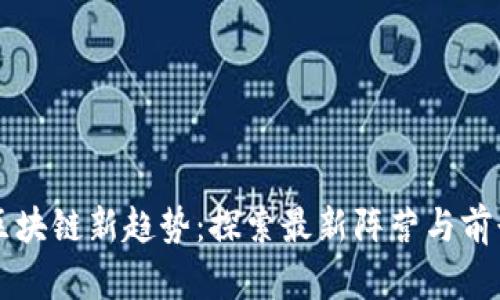 区块链新趋势：探索最新阵营与前景