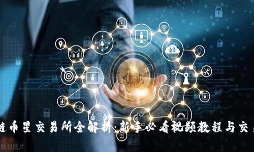 区块链币星交易所全解析：新手必看视频教程与交易技巧