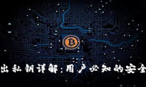 : TP钱包导出私钥详解：用户必知的安全与使用指南