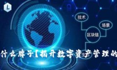 TP钱包是什么牌子？揭开数