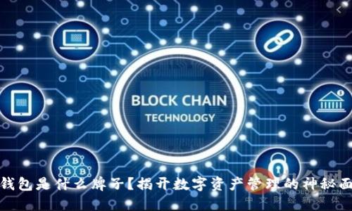 TP钱包是什么牌子？揭开数字资产管理的神秘面纱