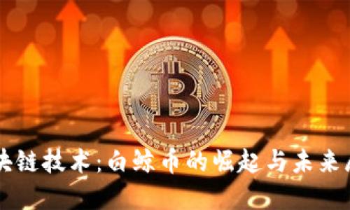 区块链技术：白鲸币的崛起与未来展望