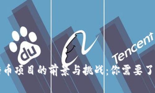 区块链糖币项目的前景与挑战：你需要了解的一切