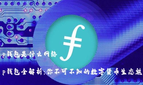 t p钱包是什么网络

t p钱包全解析：你不可不知的数字货币生态魅力