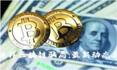 揭秘迪拜区块链骗局：最