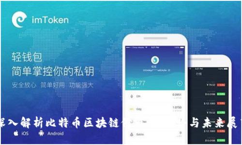 深入解析比特币区块链修剪：新趋势与未来展望