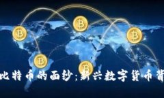 揭开金沙区块链比特币的