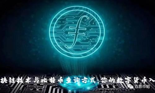 探索区块链技术与比特币查询方式：你的数字货币入门指南