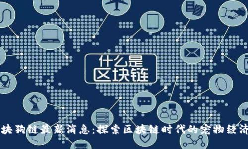 华登区块狗链最新消息：探索区块链时代的宠物经济新风口