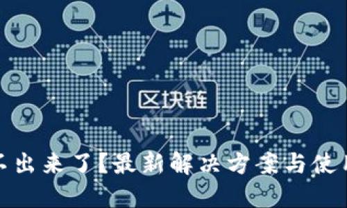 TP钱包提不出来了？最新解决方案与使用技巧揭秘