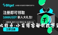区块链与比特币：小菊博
