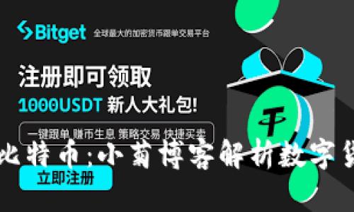 区块链与比特币：小菊博客解析数字货币的未来