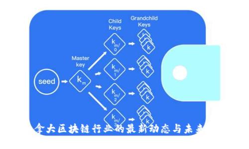 加拿大区块链行业的最新动态与未来展望