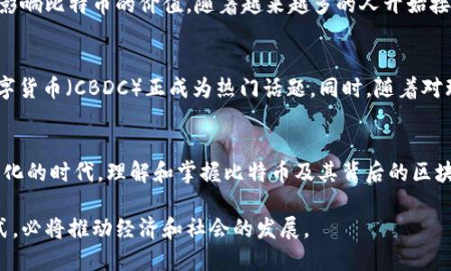 比特币区块链的深度解析：通往数字货币世界的钥匙

比特币, 区块链, 数字货币, 去中心化, 加密技术/guanjianci

什么是比特币区块链？
比特币区块链，简单来说，是一种去中心化的数字账本技术。它记录了所有比特币的交易历史，让我们能清楚地追踪每个比特币的来源。比特币的区块链建立在加密技术的基础上，确保了交易的安全性和不可篡改性。每一个区块都包含了若干笔交易的信息，这些区块按照时间顺序链接在一起，形成了一个不断增长的数据链条。

区块链的工作原理
区块链的工作机制相当复杂，但可以归纳为几个关键步骤。首先，用户发起一笔交易，系统会将其广播到整个网络。随后，网络中的节点，会通过一种称作“挖矿”的过程，进行交易的验证。被验证的交易会被打包成一个“区块”，而这个区块又会被附加到现有的区块链上。一旦一个区块被添加到链中，它的信息便无法被修改或删除，从而保证了透明性与安全性。

去中心化的优势与挑战
去中心化是比特币区块链的核心特征。没有任何单一的实体能够控制或干预网络，用户的数字资产得到了极大的保护。然而，这一特性也引发了一些挑战，例如交易速度相对较慢，网络拥堵时，交易费用会攀升。此外，虽然去中心化增强了安全性，但也给一些国家的监管带来了困难。由于没有中心化的管理机构，政府难以追踪与干预区块链上的活动。

比特币的价值如何体现？
比特币的价值由多个因素共同决定。首先是供需关系：在总量有限的情况下，若市场需求上升，比特币的价格自然会上涨。其次，用户的信任和普及程度也会影响比特币的价值。随着越来越多的人开始接受和使用比特币，它的价值潜力日益显现。最后，比特币与其他金融市场的连接，比如投资基金和机构的参与，也在无形中推高了比特币的价格。

未来展望：比特币区块链的可能变化
当今比特币区块链正处于不断变化与发展的阶段。越来越多的企业与国家开始探索区块链应用的可能性。在金融行业，去中心化金融（DeFi）和中央银行数字货币（CBDC）正成为热门话题。同时，随着对环保的关注，加密货币的能源消耗问题也引发了广泛讨论。未来，比特币区块链的技术将会不断完善，以适应变化的市场需求。

结论：踏入数字货币的时代
比特币区块链是数字货币的基石，正引领我们进入一个新的金融生态系统。尽管其发展道路充满挑战，但它所带来的创新与机遇是不可否认的。在这个数字化的时代，理解和掌握比特币及其背后的区块链技术，将会为我们开启更多的可能性。

总之，比特币区块链不仅仅是一种技术，它更是一场颠覆传统金融体系的革命。随着时间的推移，区块链技术将在更多领域展现其潜力，改变我们生活的方式，必将推动经济和社会的发展。