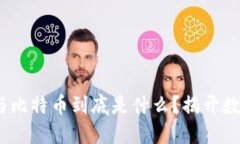 深入探讨：区块链与比特