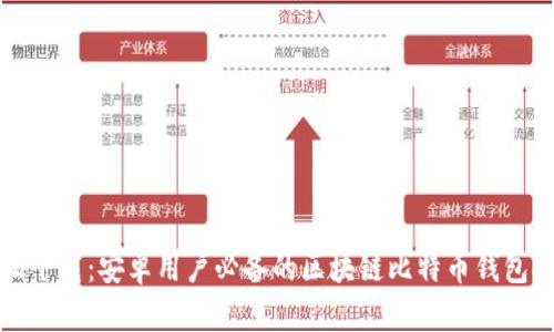 轻松下载：安卓用户必备的区块链比特币钱包推荐