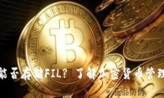 TP钱包能否存储FIL? 了解加