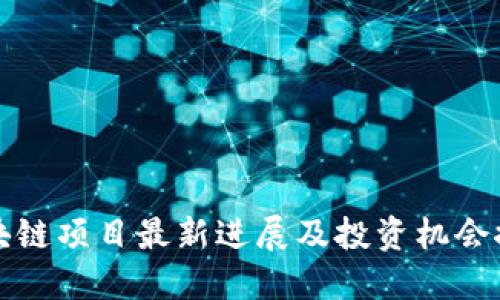 区块链项目最新进展及投资机会探讨