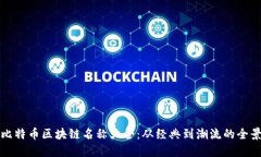 最新比特币区块链名称大