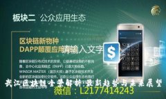 武汉区块链全景解析：最