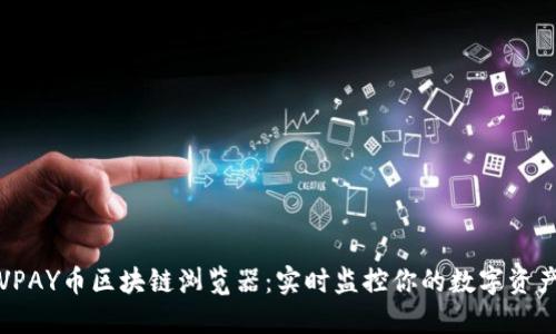 探索VPAY币区块链浏览器：实时监控你的数字资产未来