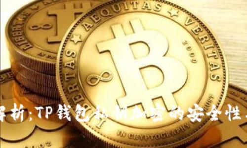 深入解析：TP钱包私钥加密的安全性与实践