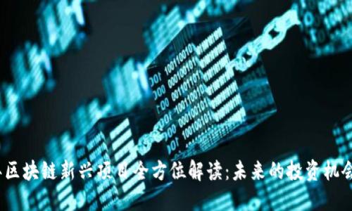 2020年区块链新兴项目全方位解读：未来的投资机会与趋势