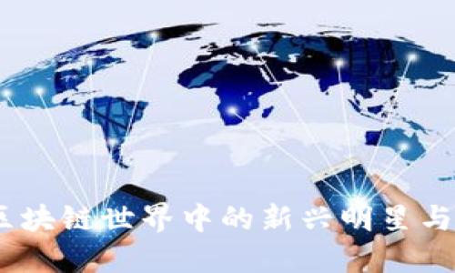 灵猫币：区块链世界中的新兴明星与投资机会