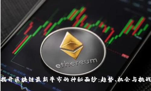 揭开区块链最新牛市的神秘面纱：趋势、机会与挑战