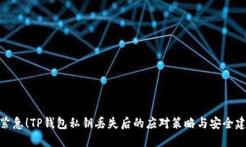 : 紧急！TP钱包私钥丢失后的应对策略与安全建议