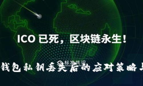 : 紧急！TP钱包私钥丢失后的应对策略与安全建议