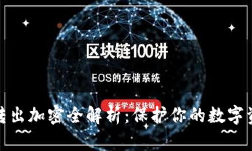 TP钱包转出加密全解析：保护你的数字资产安全