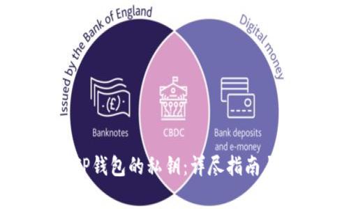 如何成功找回TP钱包的私钥：详尽指南与常见问题解答