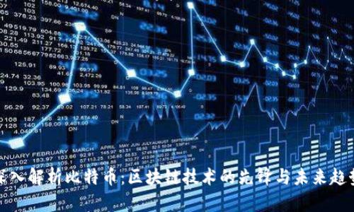 深入解析比特币：区块链技术的先锋与未来趋势