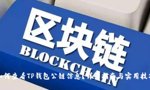 如何查看TP钱包公链信息？详细指南与实用技巧