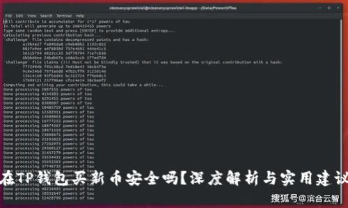 在TP钱包买新币安全吗？深度解析与实用建议