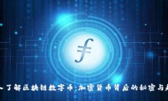 深入了解区块链数字币：