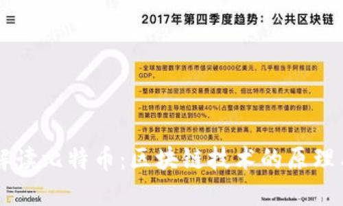深入解读比特币：区块链技术的原理与应用