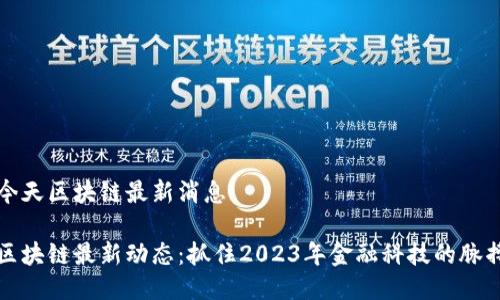 今天区块链最新消息

区块链最新动态：抓住2023年金融科技的脉搏
