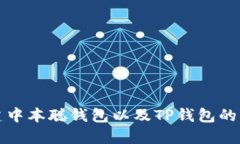 如何创建中本聪钱包以及