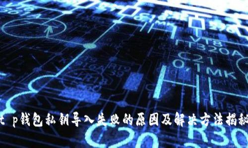 t p钱包私钥导入失败的原因及解决方法揭秘