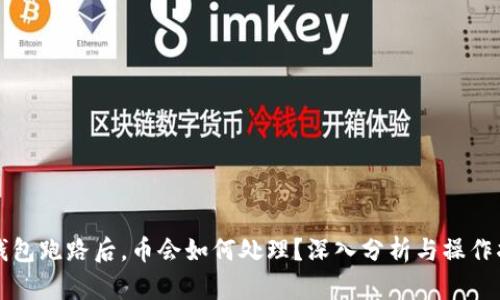 TP钱包跑路后，币会如何处理？深入分析与操作指南