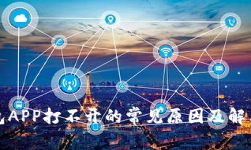TP钱包APP打不开的常见原因及解决方法