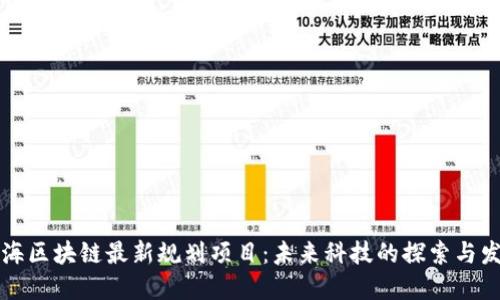 上海区块链最新规划项目：未来科技的探索与发展