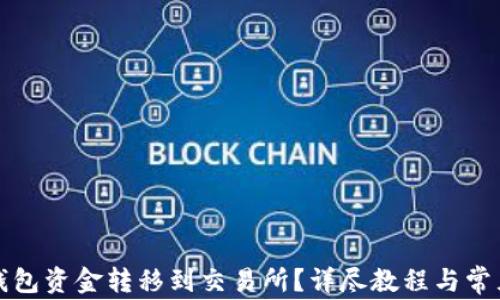 
如何将TP钱包资金转移到交易所？详尽教程与常见问题解答