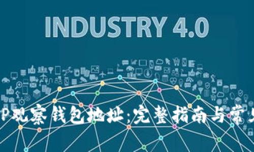 如何使用TP观察钱包地址：完整指南与常见问题解答