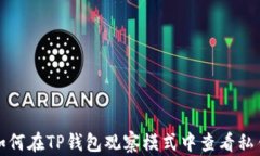 如何在TP钱包观察模式中查看私钥