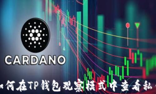 
如何在TP钱包观察模式中查看私钥